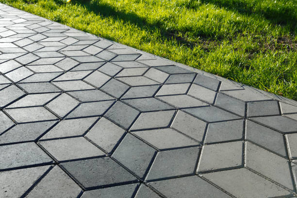 Best Driveway Paving Contractor  in Union City, MI