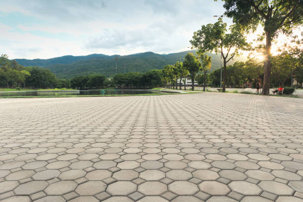 Best Driveway Resurfacing Pavers  in Union City, MI
